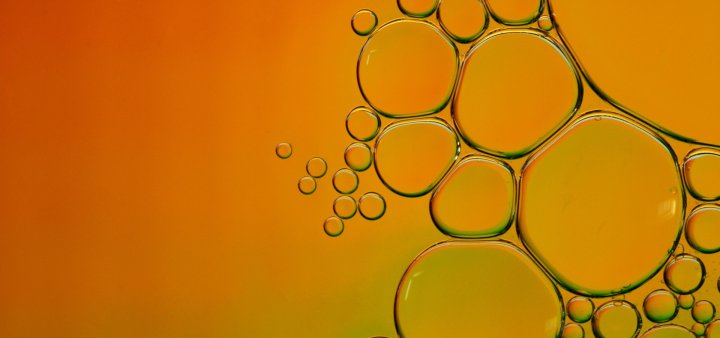 kurse-fuer-lernende-oda-g-bern-2024-25