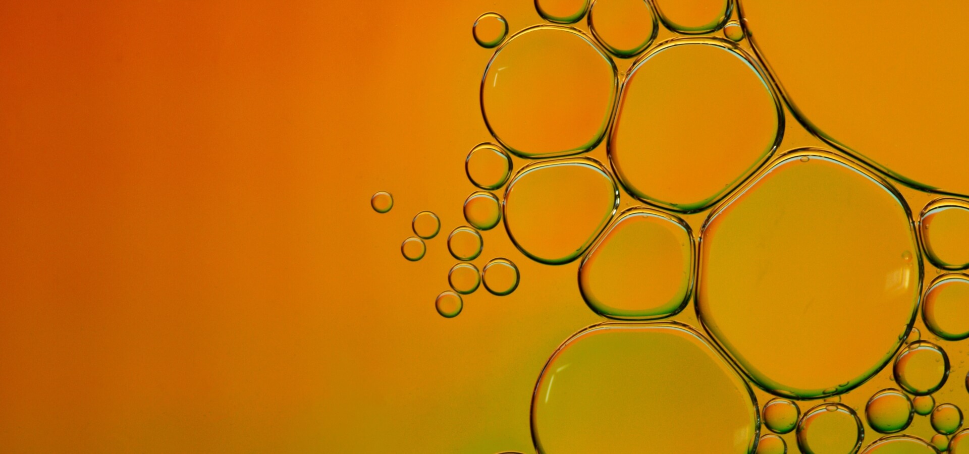 kurse-fuer-lernende-oda-g-bern-2024-25